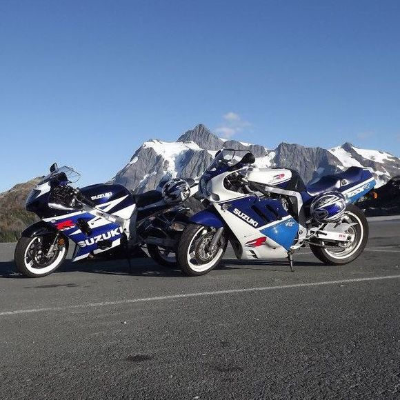 Meet your Posher, Bryant - Picture 1 of 1